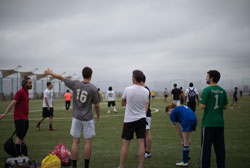 Thumbnail 14